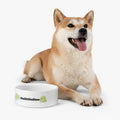 Thelittledino Pet Bowl — Cute Dinosaur Food Dish