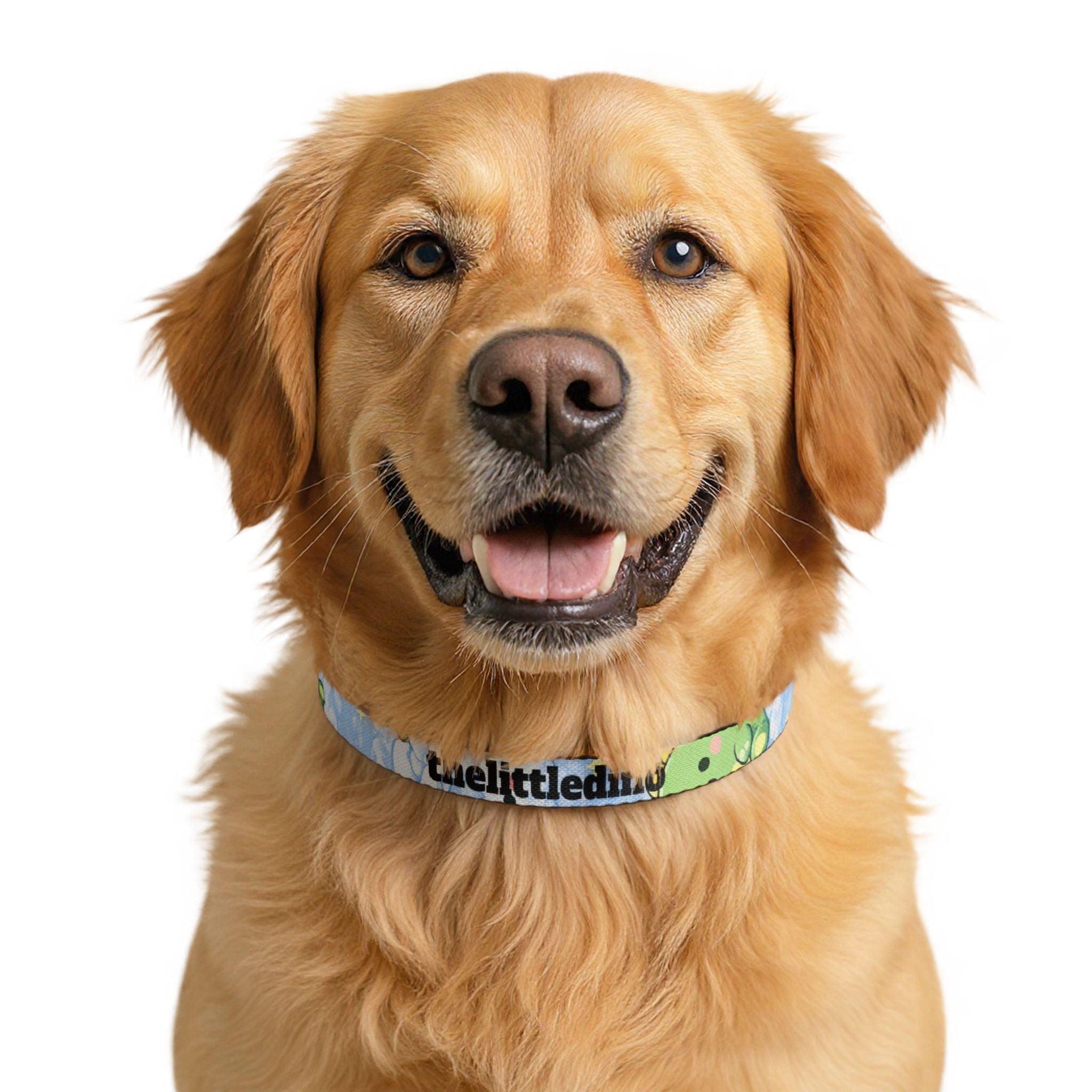 Clip-on Pet Collar — Cute Green Dino Pattern