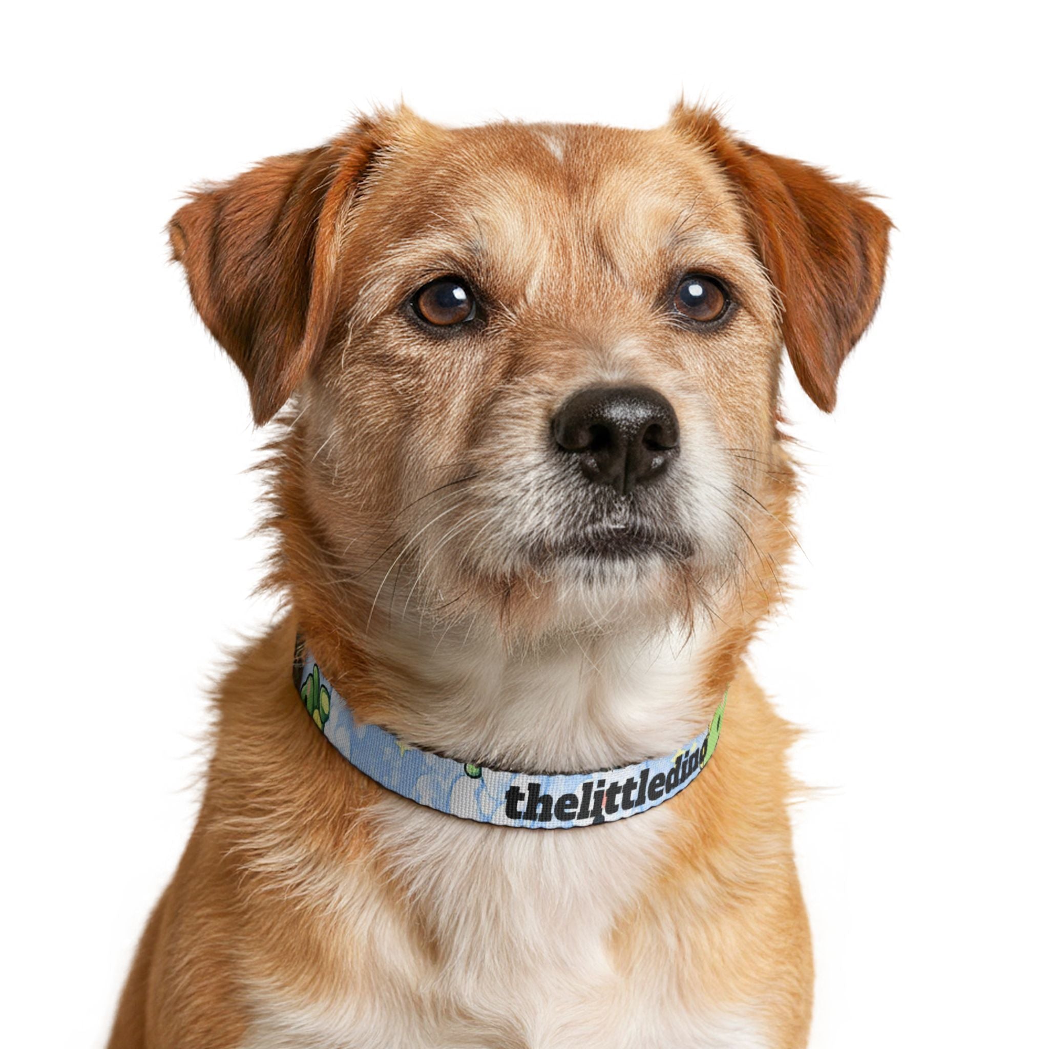 Clip-on Pet Collar — Cute Green Dino Pattern